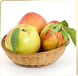 Apricots Apricots