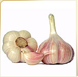 Garlic Garlic